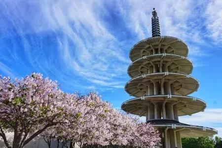 的 Peace Pagoda in 结合