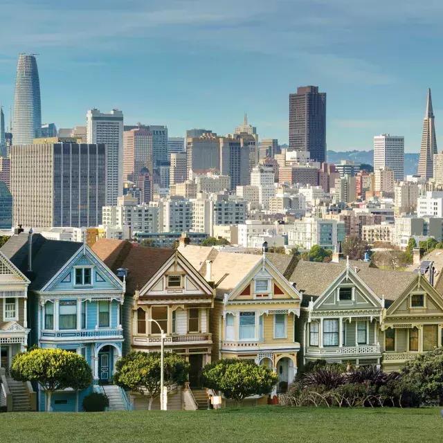 Os piqueniques sentam-se na grama do Alamo Square Park com as 画现在 e o horizonte de São Francisco ao fundo.